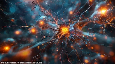 Discover the true number of human senses.