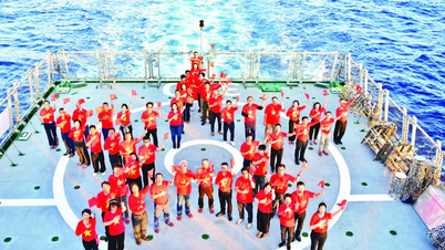 La política exterior de Vietnam contribuye activamente al logro exitoso de los objetivos estratégicos del país.