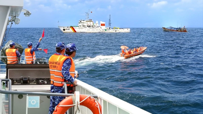 La Guardia Costera de Vietnam demuestra un espíritu proactivo, manteniendo la paz y la seguridad en los territorios marítimos de la nación.