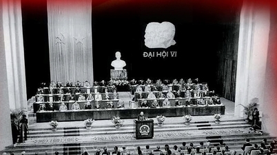 De Vietnamese Nationale Assemblee werkt nauw samen met het Doi Moi-proces (vernieuwing) van het land.