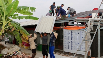 Vinh Thuan commune persuaded 3 households to voluntarily dismantle illegal structures on agricultural land.