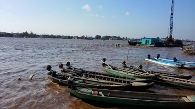 Ca Mau investit 480 milliards de VND dans un projet de digue fluviale à Ganh Hao.