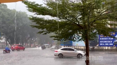 O tempo em Tuyen Quang durante o feriado de dois dias do Ano Novo será chuvoso e frio.