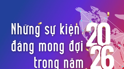 Na co se těšit v roce 2026