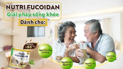 Nutri Fucoidan – Japanse Fucoidan: Uw partner in duurzame gezondheidsverbetering.
