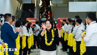Vietnam'ın turizm sektörü 2026 yılına birçok olumlu işaretle başlıyor.