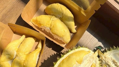 Harga durian pada 1 Januari 2026: Durian Thai kekal pada 100,000 VND/kg, harga Musang King meningkat mendadak.
