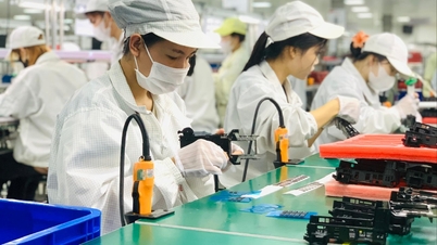 Triển khai giao kết, thực hiện hợp đồng lao động điện tử