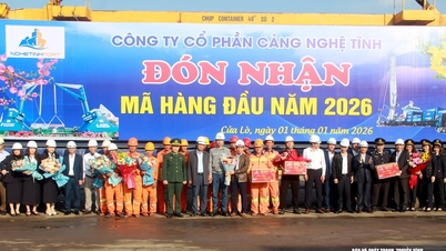 بندر Nghe Tinh از اولین محموله سال استقبال می‌کند و تولید را در سال 2026 آغاز خواهد کرد.
