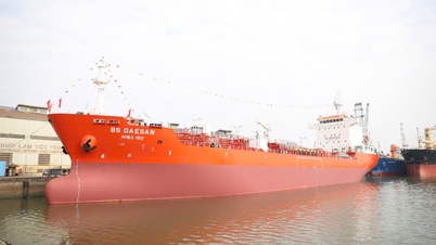 Công ty Đóng tàu Phà Rừng phấn đấu giá trị sản xuất năm 2026 đạt 785 tỷ đồng