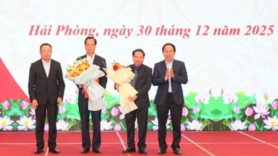 การประชุมเพื่อประกาศมติของคณะกรรมการกลางพรรคเกี่ยวกับการบริหารงานบุคคล ณ เมืองไฮฟอง