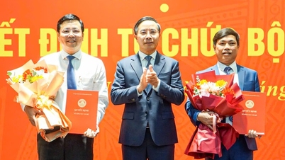 Da Nang plaatst directeur van de Raad voor Projectmanagement over naar het Ministerie van Onderwijs en Training: Toelichting van de voorzitter