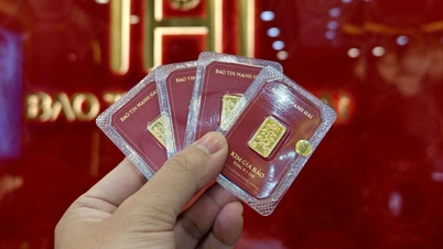Rộn ràng sáng đầu năm: Dòng người xếp hàng chờ đón " Tiểu Kim Cát " - Tứ Quý Thịnh Vượng tại Bảo Tín Mạnh Hải