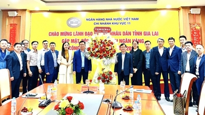 Gia Lai: Sektor perbankan memberi tumpuan kepada menyokong pemulihan pengeluaran dan perniagaan.