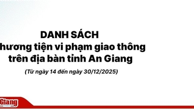 Danh sách phương tiện vi phạm giao thông trên địa bàn tỉnh An Giang từ ngày 14 đến ngày 30/12/2025