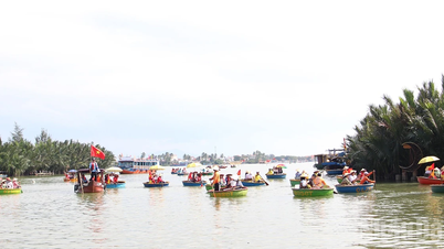 [Ảnh] Đà Nẵng: Du khách ngồi thúng chai trải nghiệm rừng dừa