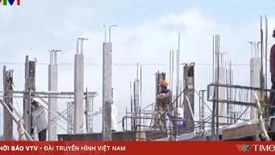 Asegurar proactivamente el suministro y mantener precios estables de materiales de construcción a principios de año.
