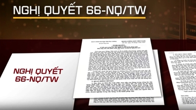 القرار 66-NQ/TW و"تجديد" التفكير القانوني.