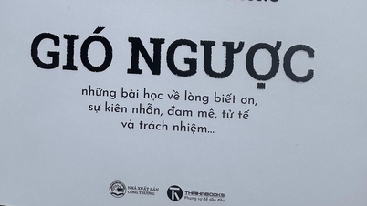Phạm Sông Thu và hành trình 'Gió ngược'