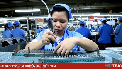 Supprimer le goulot d'étranglement des capitaux étrangers et créer une dynamique permettant aux entreprises vietnamiennes de s'intégrer plus profondément au marché mondial.