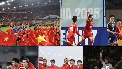 FIFA sends a special message about Vietnamese football on New Year's Day.
