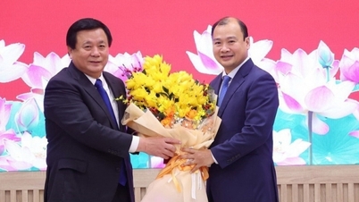 De heer Le Hai Binh is overgeplaatst en benoemd tot adjunct-directeur van de Nationale Academie voor Politiek in Ho Chi Minh-stad.