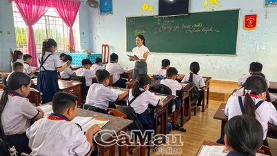 Chính sách lương mới tạo động lực cho đội ngũ nhà giáo