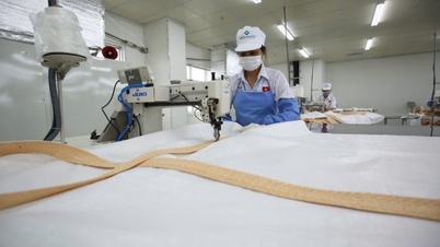 Vietnam tekstil ve giyim ürünleri, iç pazar payının yaklaşık %60'ını oluşturmaktadır.