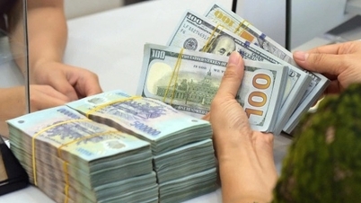 ২০২৬ সালে USD/VND এর বিনিময় হার কেমন হবে?