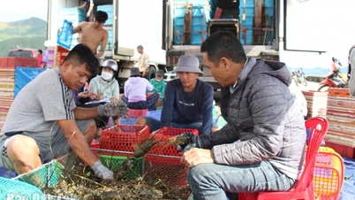Harga udang kara meningkat, bekalan menjadi terhad selepas ribut dan banjir.