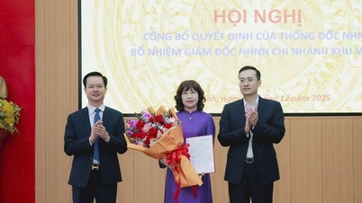 Vietnam Devlet Bankası 8. Bölge Müdürünün Atanmasına İlişkin Kararın Açıklanması