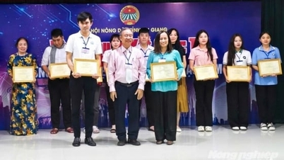 «សាប៊ូលាងចានផលិតពីស្លឹកផ្លែត្របែក» ឈ្នះរង្វាន់លេខមួយក្នុងការប្រកួតប្រជែងអាជីវកម្មថ្មីថ្មោងនៅខេត្តអានយ៉ាង។