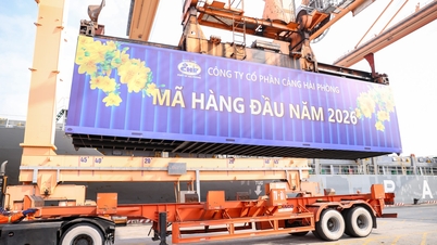 Portul Hai Phong își începe operațiunile pentru a primi prima încărcătură din 2026.