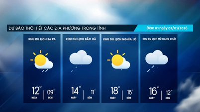 Overdag bewolkt, met 's nachts af en toe lichte regen.