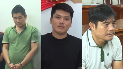 A hatóságok felszámoltak egy Nguyễn Thanh Hải igazságosztó vezette illegális bevándorlói hálózatot.