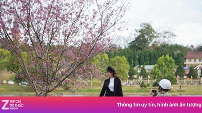 Die Behörden gehen gegen Straßenhändler rund um den Xuan-Huong-See in Da Lat vor.