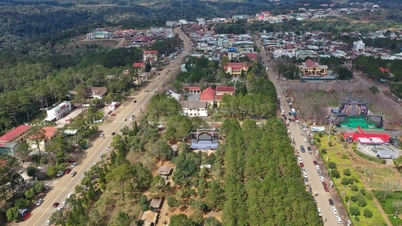벚꽃이 만개하고, 망덴은 2026년 새해 첫날 수많은 관광객을 맞이했습니다.