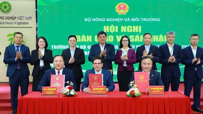 Tarım Yönetimi Okulu Kadrolarının Vietnam Tarım Akademisi'ne Entegrasyonu