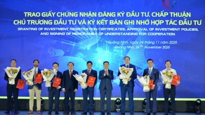 Momentele economice importante ale orașului Quang Ninh în 2025 - Așteptările pentru un progres în 2026