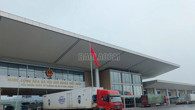 Ngày đầu năm, Cửa khẩu Kim Thành đạt kim ngạch xuất - nhập khẩu trên 3 triệu USD