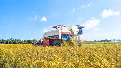 Nông nghiệp giữ vai trò trụ đỡ, phát triển khá toàn diện