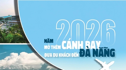Năm 2026, mở thêm cánh bay đưa du khách đến Đà Nẵng