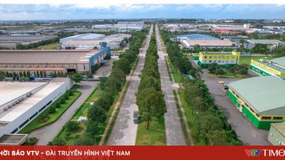 Ho Chi Minh şehrinin sanayi bölgelerine 5,3 milyar dolardan fazla yatırım yapıldı.