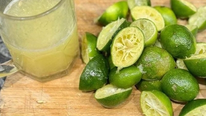 Bị sốt xuất huyết nên ăn gì?