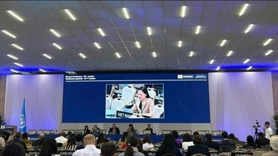 2025년 베트남 문화유산에 대한 인상