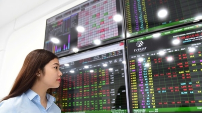 Çift haneli büyüme için finansal kaynak yaratmak.