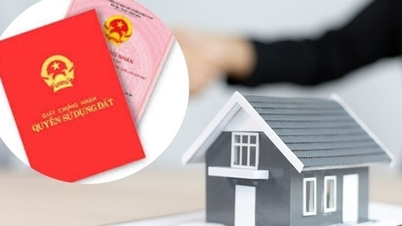 Regulations regarding the disposition of jointly owned property by husband and wife: Written agreement is mandatory.