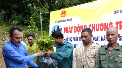 Phát triển cây trồng, vật nuôi chủ lực