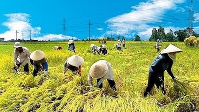 1 Ocak 2026'dan itibaren tarımsal arazi kullanım vergisinden muafiyet hakkı bulunan durumlar