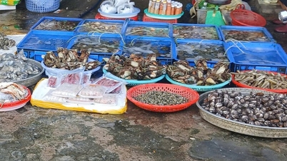 Măsuri mai stricte pentru a asigura siguranța alimentară în timpul sărbătorii Tet în Khanh Hoa.